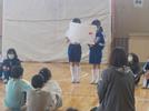 fes1