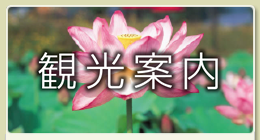 観光案内